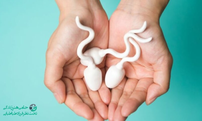 آیا ریختن اسپرم در دوران بارداری ضرر دارد؟